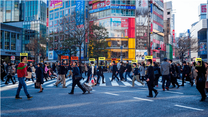 Computer Vision Software Development